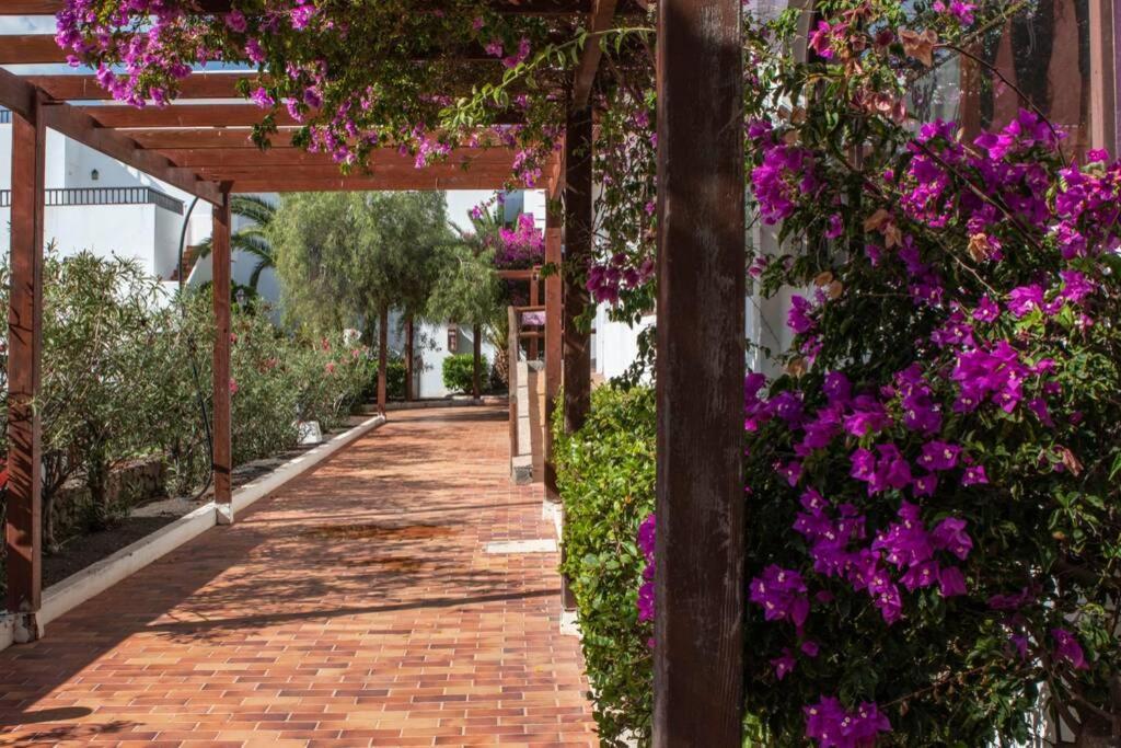 The Colors House Leilighet Costa Teguise Eksteriør bilde